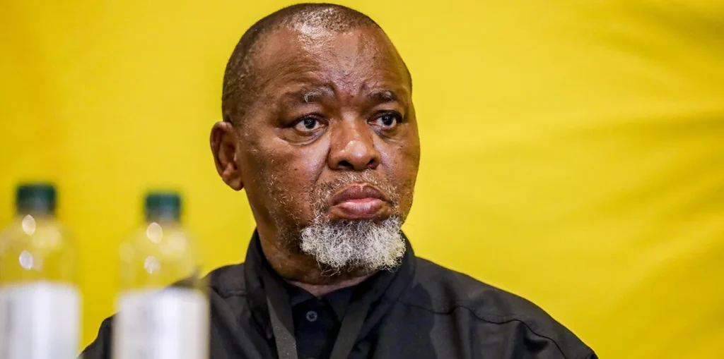 President Appoints Gwede Mantashe as Interim Police Minister Amid Shake-Up